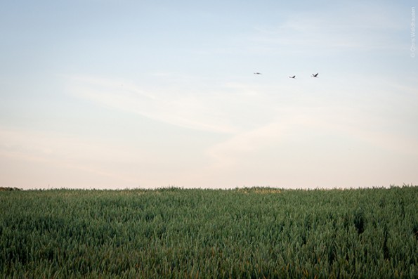 Sumin_Landschaft